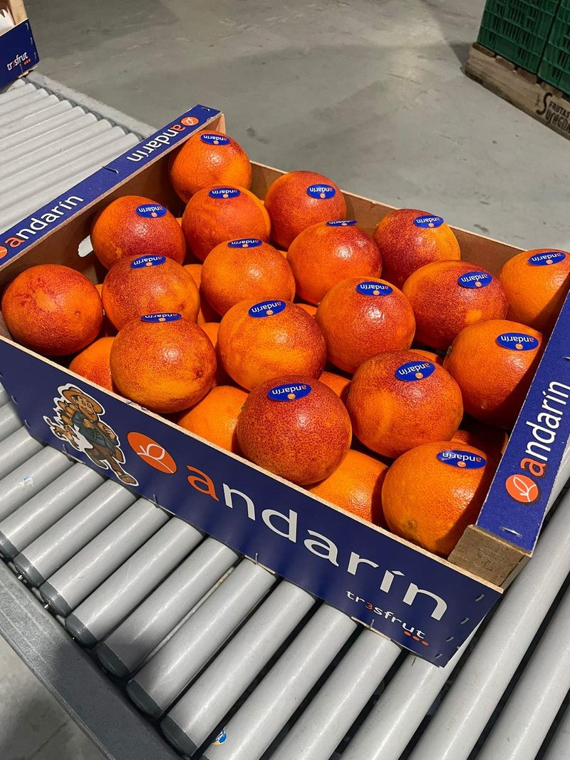 Clementina Orri Andarín