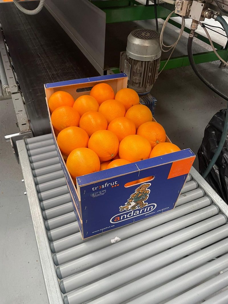 Almacén cajas Andarín